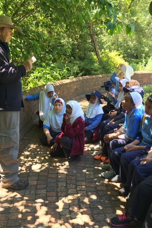 Year 3 Excursion: Royal Botanical Gardens