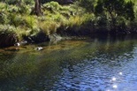 Year 9B Hiking Experience at Werribee Gorge