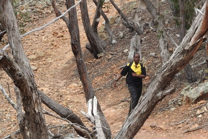 Year 9B Hiking Experience at Werribee Gorge