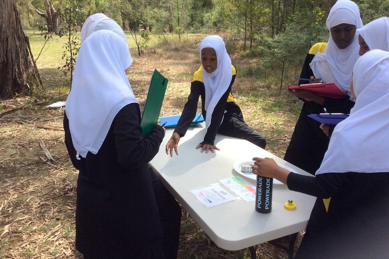 Year 7 Field Trip to the Darebin Creek Parklands