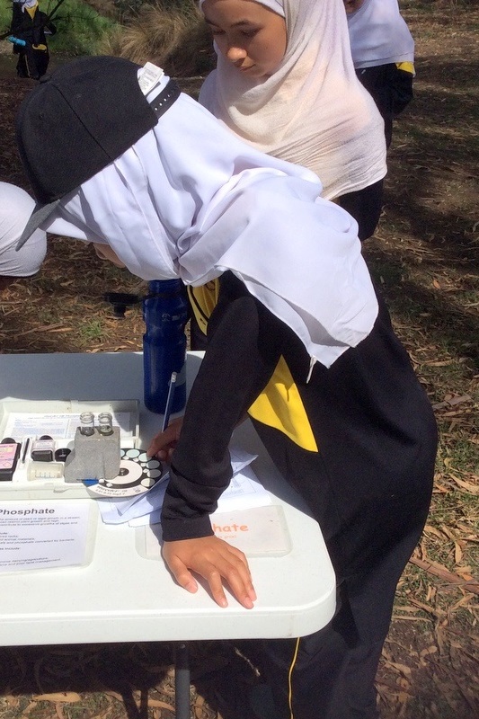 Year 7 Field Trip to the Darebin Creek Parklands