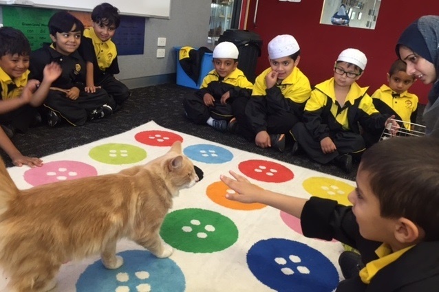 Foundation Students Learning about the Word 'CAT'