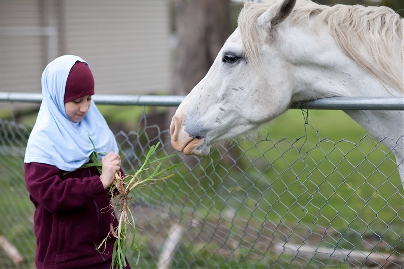 Horse Riding Program