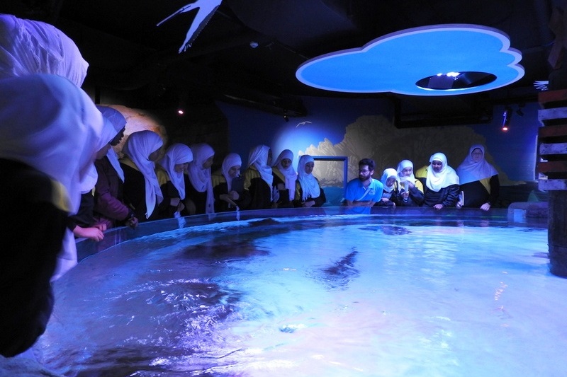 Year 7A Excursion: Melbourne Aquarium