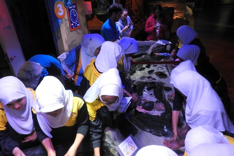 Year 7A Excursion: Melbourne Aquarium