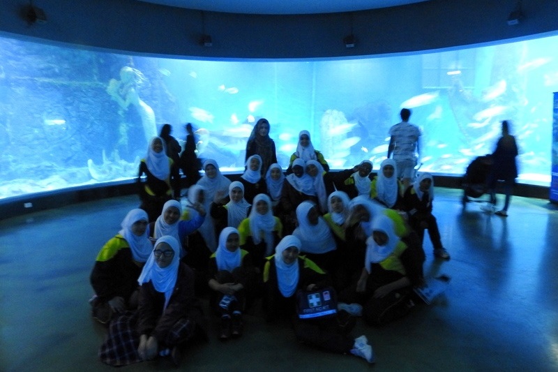 Year 7A Excursion: Melbourne Aquarium