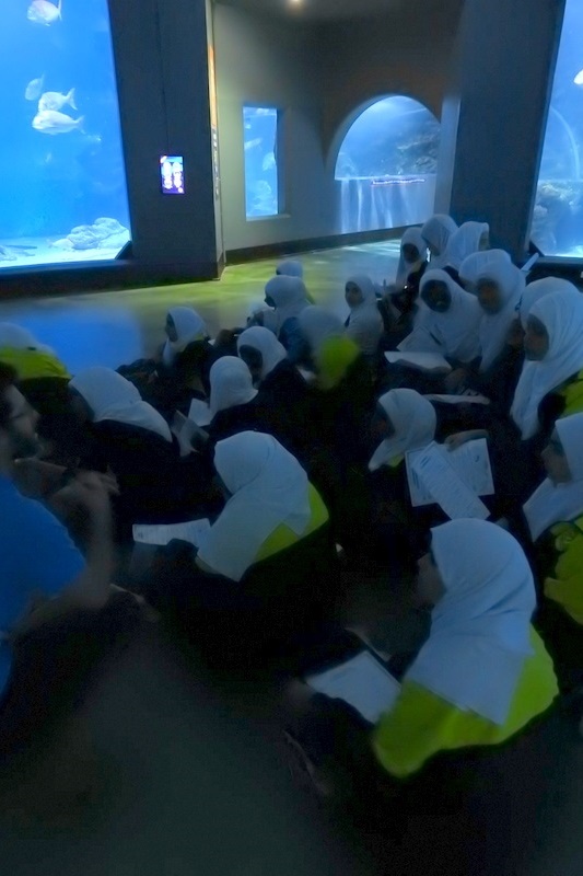 Year 7A Excursion: Melbourne Aquarium