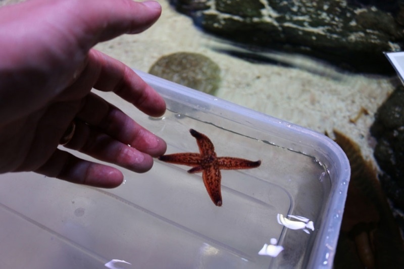 Year 7A Excursion: Melbourne Aquarium