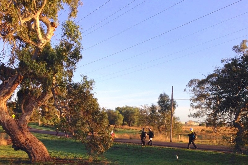 National Walk to School Day 2016