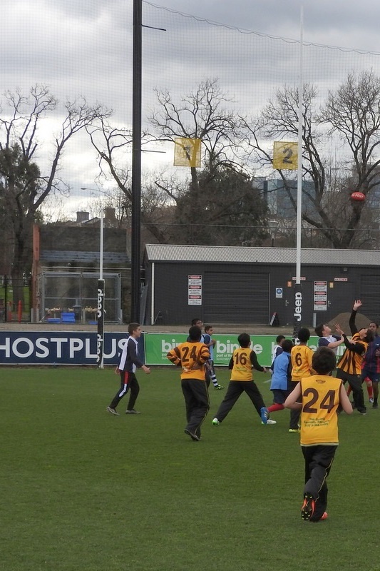 Year 5 and 6 Boys: Bachar Houli Cup 2016