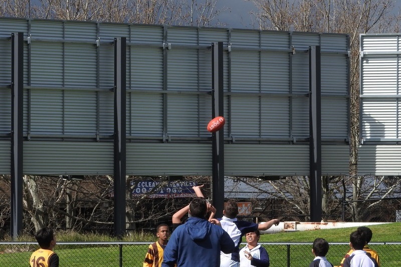 Year 5 and 6 Boys: Bachar Houli Cup 2016