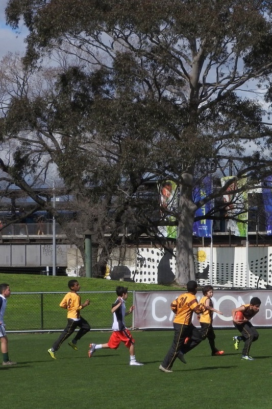 Year 5 and 6 Boys: Bachar Houli Cup 2016