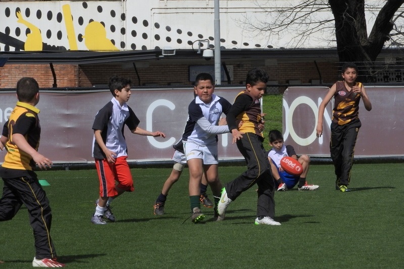 Year 5 and 6 Boys: Bachar Houli Cup 2016