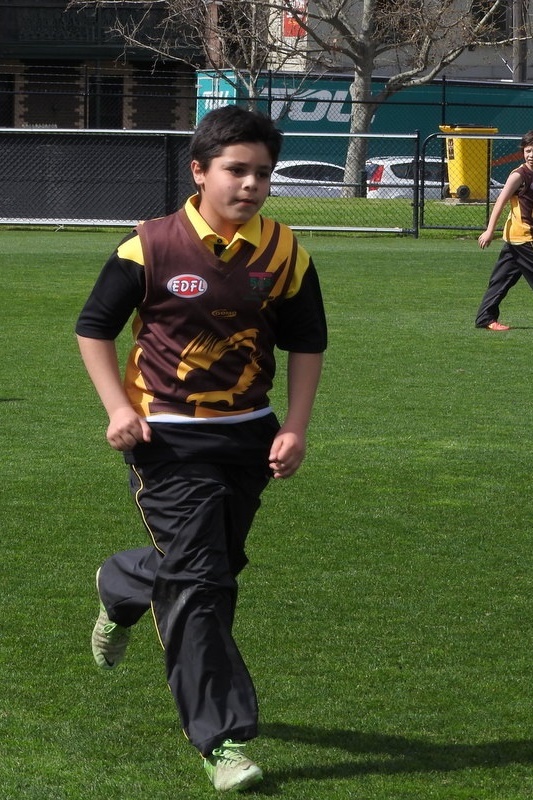 Year 5 and 6 Boys: Bachar Houli Cup 2016