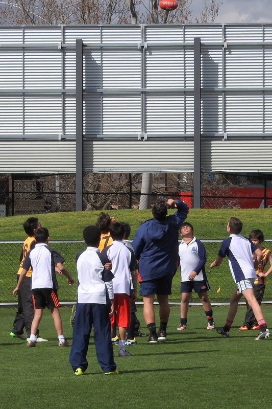 Year 5 and 6 Boys: Bachar Houli Cup 2016