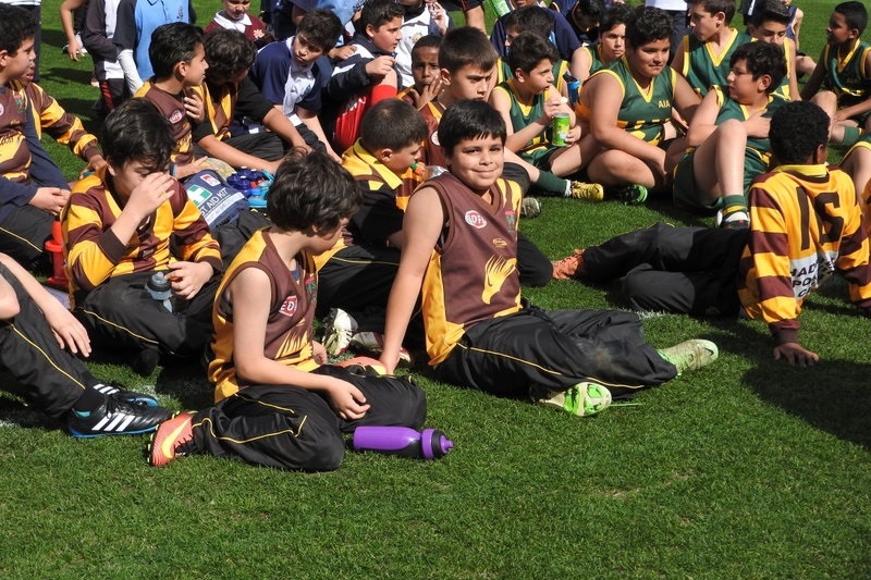 Year 5 and 6 Boys: Bachar Houli Cup 2016