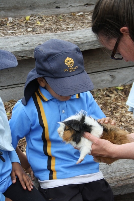 Year Foundation Excursion to Bundoora Farm