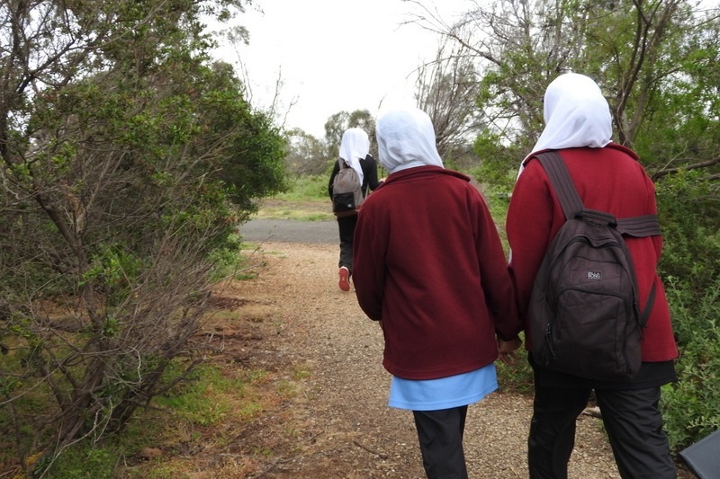 Year 8 Excursion: Organ Pipes National Park