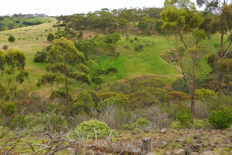 Year 8 Excursion: Organ Pipes National Park