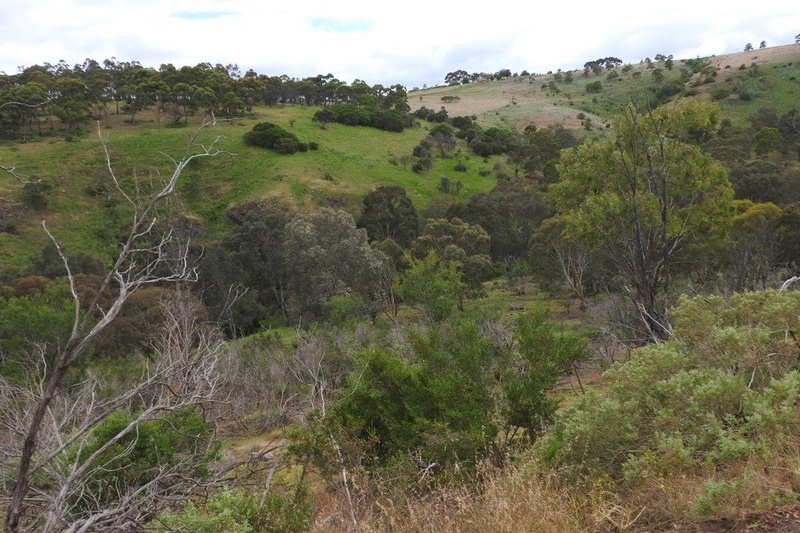 Year 8 Excursion: Organ Pipes National Park