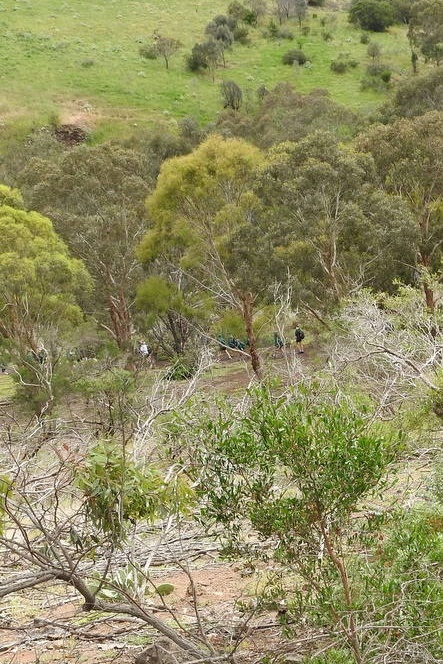 Year 8 Excursion: Organ Pipes National Park