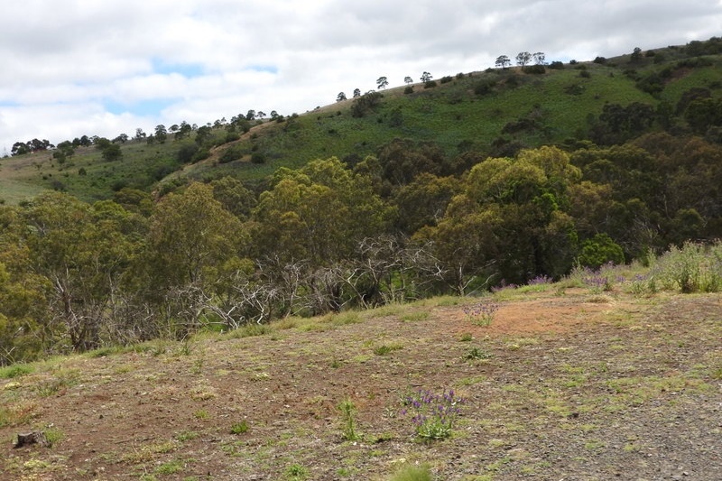 Year 8 Excursion: Organ Pipes National Park