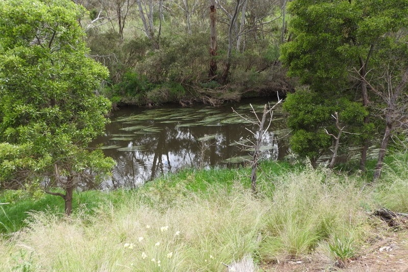 Year 8 Excursion: Organ Pipes National Park