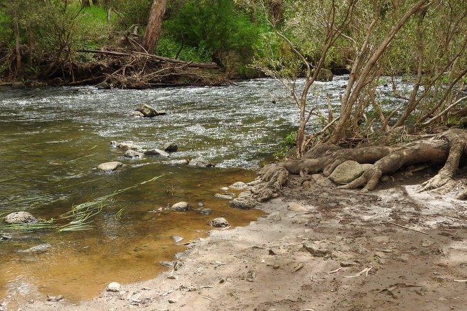 Year 8 Excursion: Organ Pipes National Park