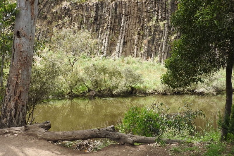 Year 8 Excursion: Organ Pipes National Park