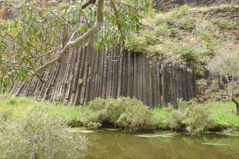 Year 8 Excursion: Organ Pipes National Park