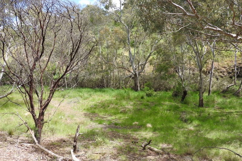 Year 8 Excursion: Organ Pipes National Park