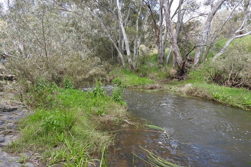 Year 8 Excursion: Organ Pipes National Park