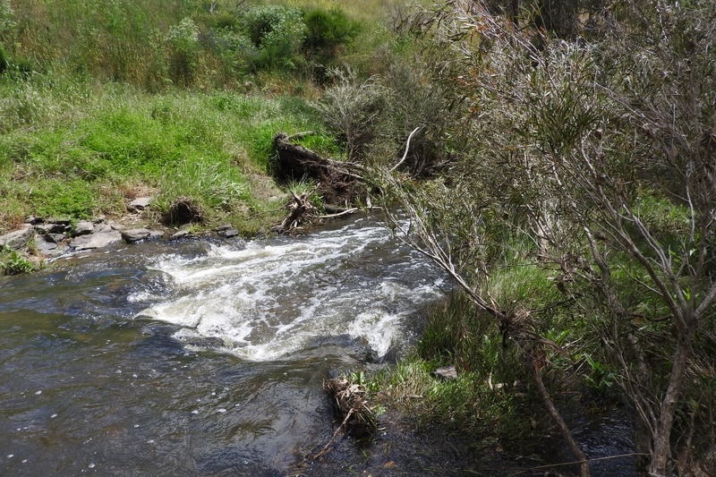 Year 8 Excursion: Organ Pipes National Park