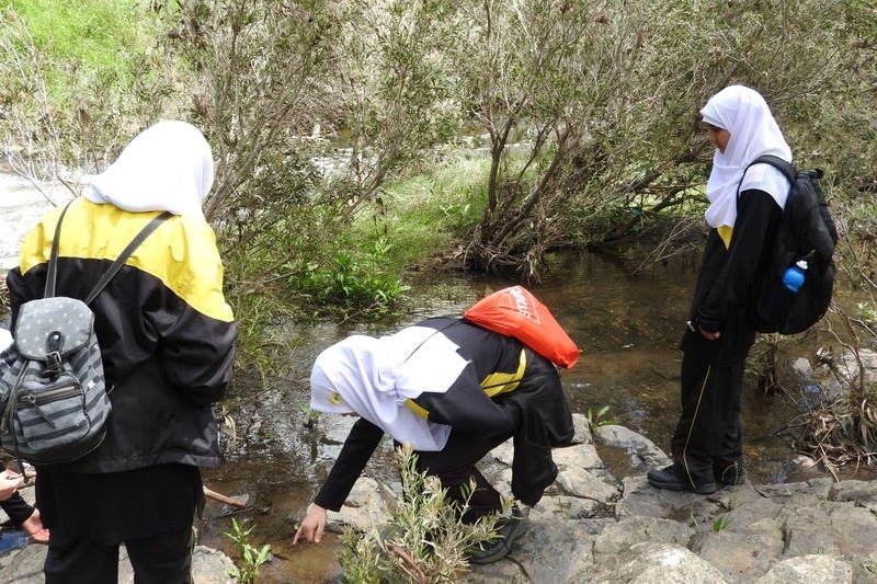 Year 8 Excursion: Organ Pipes National Park