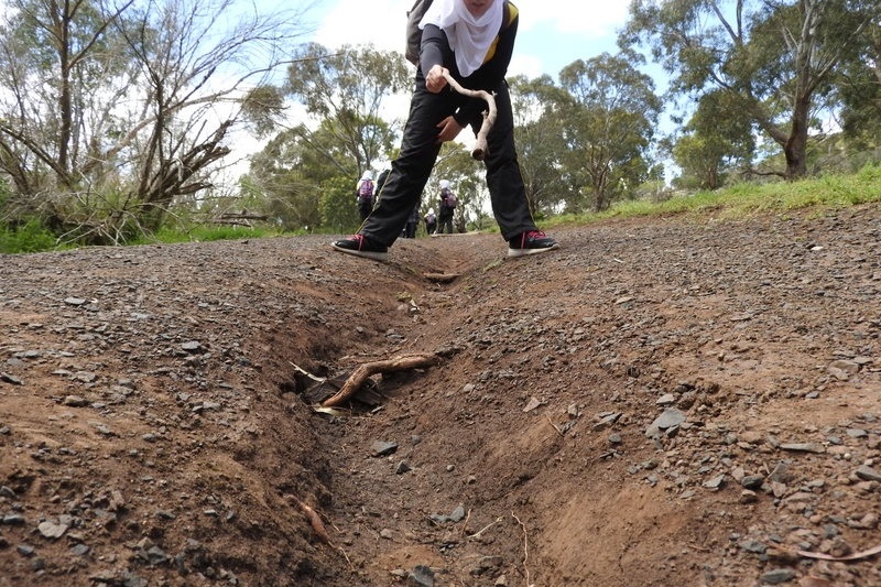 Year 8 Excursion: Organ Pipes National Park