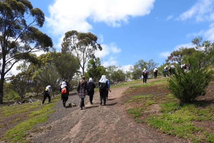 Year 8 Excursion: Organ Pipes National Park