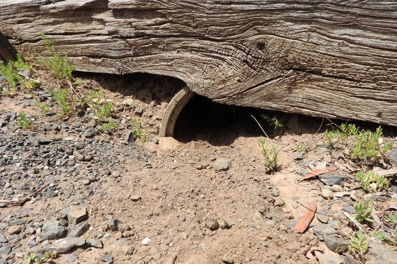 Year 8 Excursion: Organ Pipes National Park