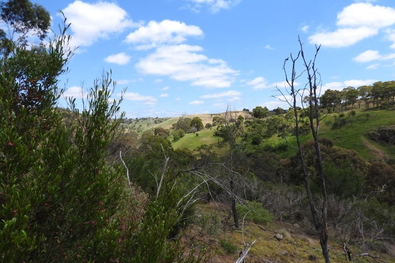 Year 8 Excursion: Organ Pipes National Park