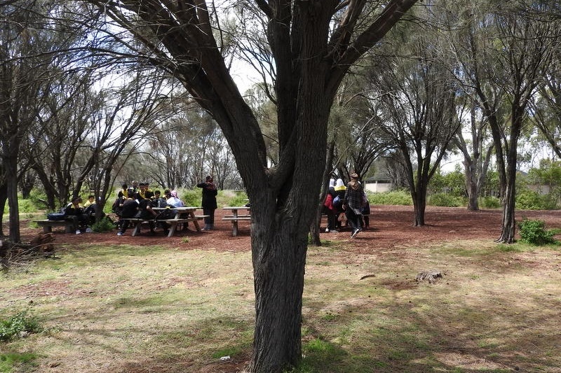 Year 8 Excursion: Organ Pipes National Park