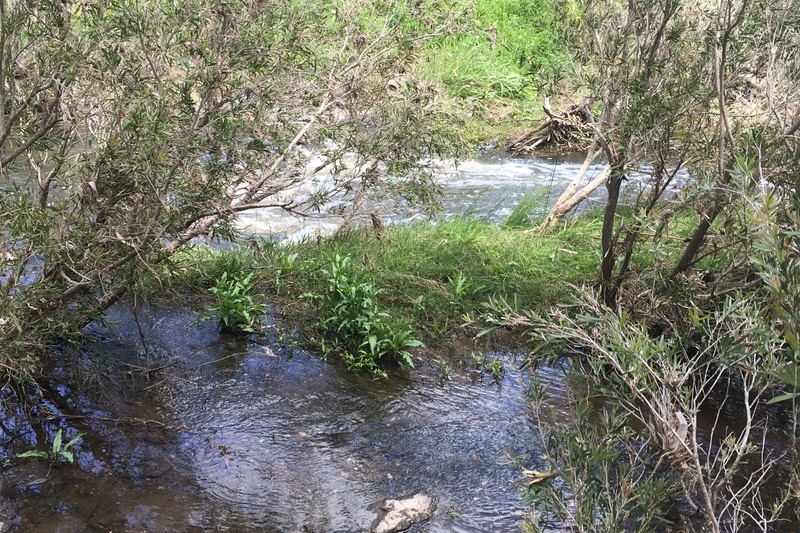 Year 8 Excursion: Organ Pipes National Park