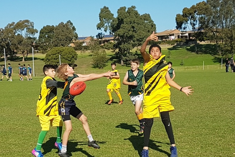 Primary School Challenge Cup AFL - FINALS Reached