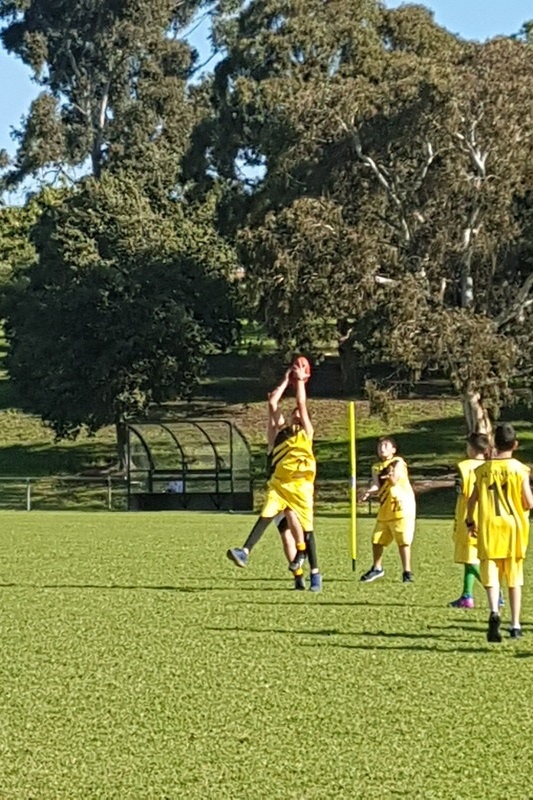 Primary School Challenge Cup AFL - FINALS Reached