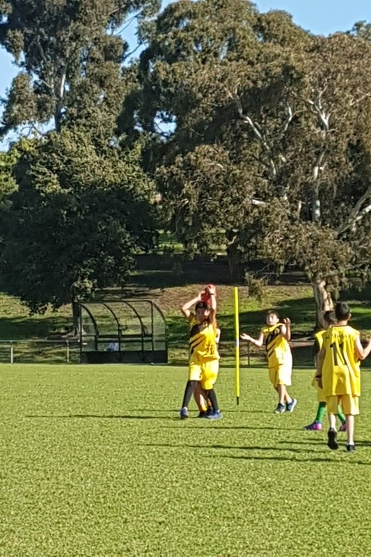 Primary School Challenge Cup AFL - FINALS Reached