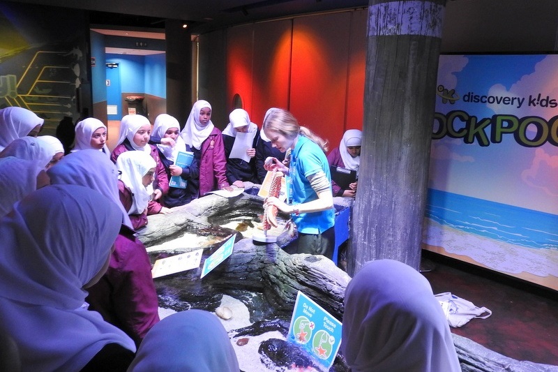 Year 7 Students Visit the Melbourne Aquarium