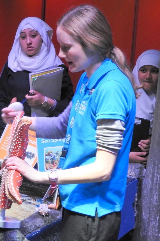 Year 7 Students Visit the Melbourne Aquarium