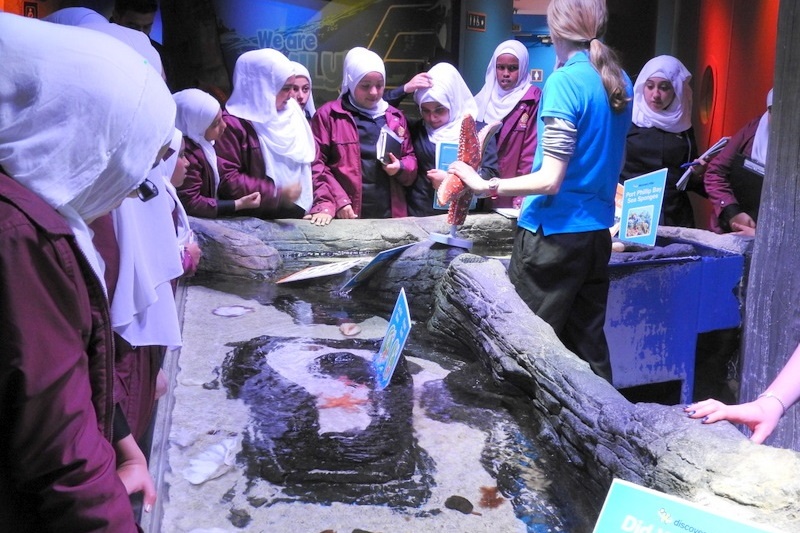 Year 7 Students Visit the Melbourne Aquarium