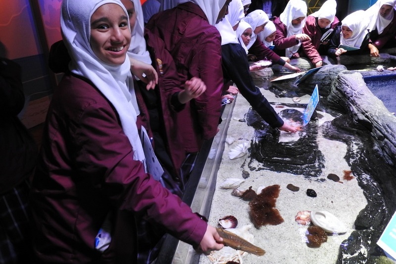 Year 7 Students Visit the Melbourne Aquarium