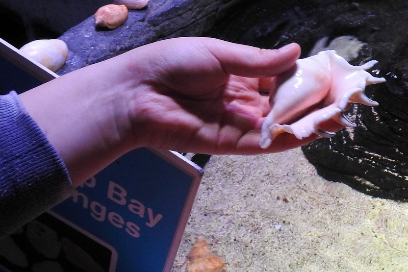 Year 7 Students Visit the Melbourne Aquarium