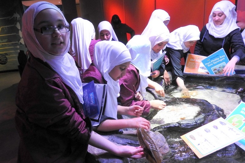 Year 7 Students Visit the Melbourne Aquarium