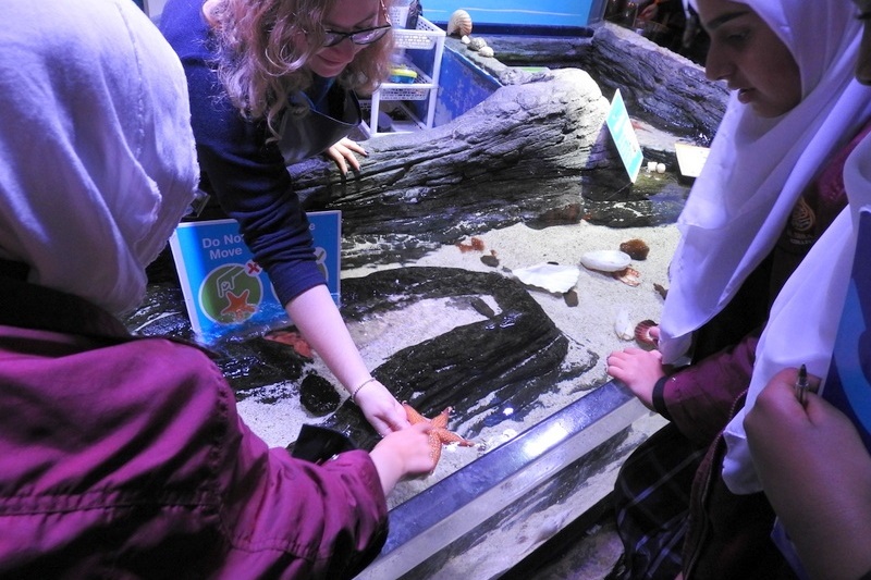 Year 7 Students Visit the Melbourne Aquarium